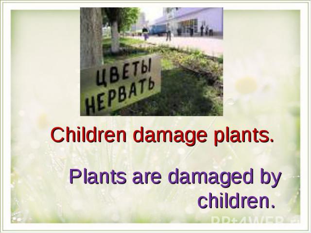 Children damage plants. Plants are damaged by children.