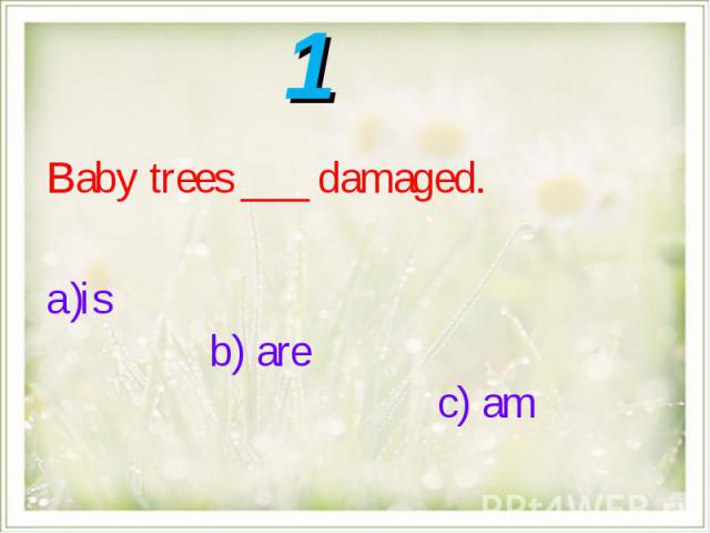 Baby trees ___ damaged.is b) are c) am