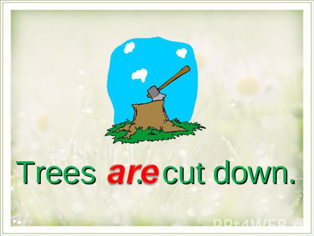 Trees … cut down.