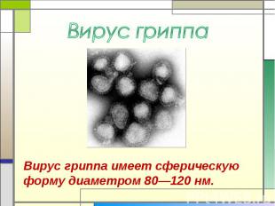 Вирус гриппа Вирус гриппа имеет сферическую форму диаметром 80—120 нм.