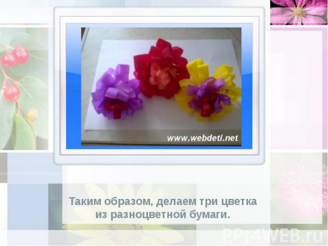Таким образом, делаем три цветка из разноцветной бумаги.