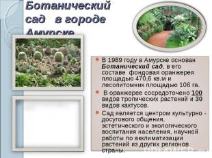 Ботанический сад в городе Амурске В 1989 году в Амурске основан Ботанический сад