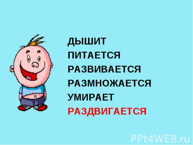 ДЫШИТ ПИТАЕТСЯ РАЗВИВАЕТСЯ РАЗМНОЖАЕТСЯ УМИРАЕТ РАЗДВИГАЕТСЯ