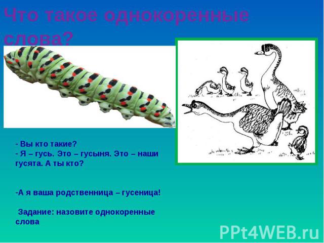 Что такое однокоренные слова? Вы кто такие? Я – гусь. Это – гусыня. Это – наши гусята. А ты кто?А я ваша родственница – гусеница! Задание: назовите однокоренные слова