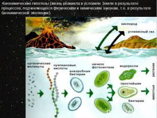 Биохимические гипотезы (жизнь возникла в условиях Земли в результате процессов,