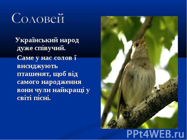 Український народ дуже співучий. Український народ дуже співучий. Саме у нас солов ї висиджують пташенят, щоб від самого народження вони чули найкращі у світі пісні.