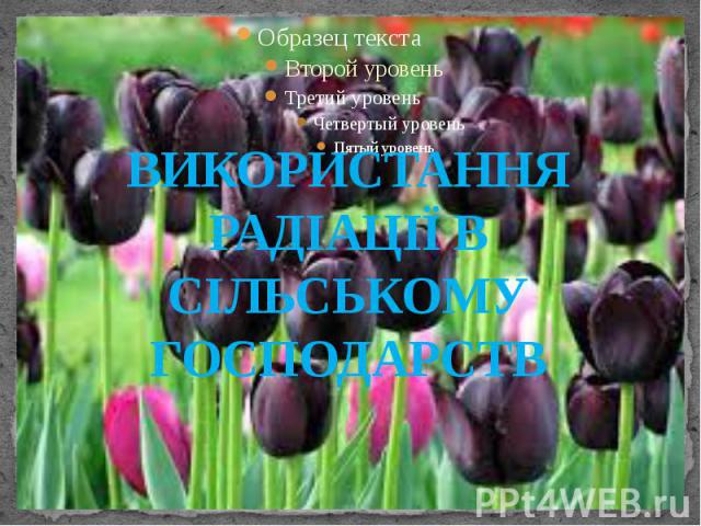 ВИКОРИСТАННЯ РАДІАЦІЇ В СІЛЬСЬКОМУ ГОСПОДАРСТВ