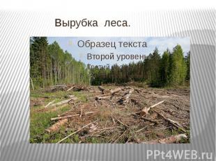 вырубка леса.