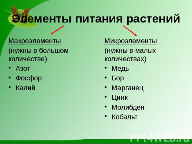 Элементы питания растенийМакроэлементы(нужны в большом количестве)АзотФосфорКалий