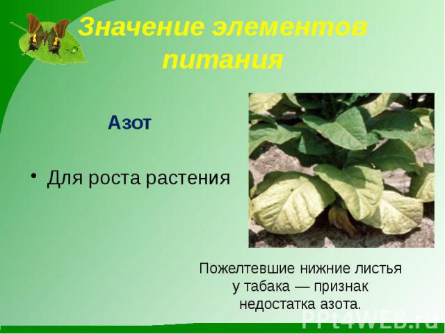 Значение элементов питания АзотДля роста растения