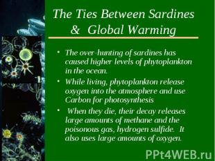 The Ties Between Sardines &amp; Global WarmingThe over-hunting of sardines has c