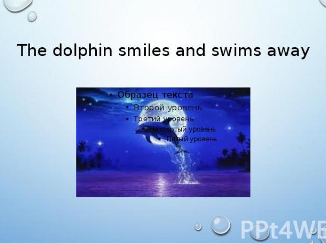 The dolphin smiles and swims away