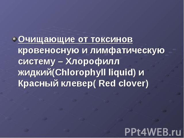 Очищающие от токсинов кровеносную и лимфатическую систему – Хлорофилл жидкий(Chlorophyll liquid) и Красный клевер( Red clover)