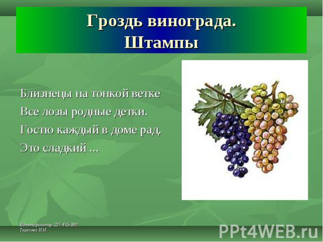 Гроздь винограда. Штампы Близнецы на тонкой ветке Все лозы родные детки.Гостю каждый в доме рад.Это сладкий ...