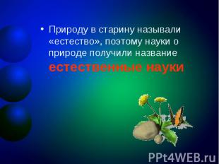 Природу в старину называли «естество», поэтому науки о природе получили название