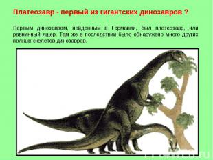 Платеозавр - первый из гигантских динозавров ? Первым динозавром, найденным в Ге