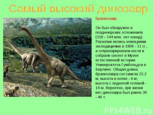 Самый высокий динозавр Брахиозавр.Он был обнаружен в позднеюрских отложениях (15