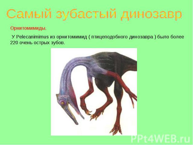 Самый зубастый динозавр Орнитомимиды. У Pelecanimimus из орнитомимид ( птицеподобного динозавра ) было более 220 очень острых зубов.