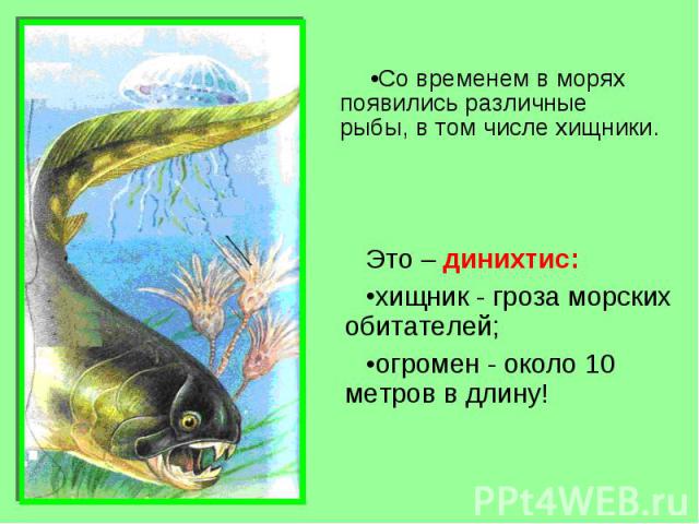 Со временем в морях появились различные рыбы, в том числе хищники. Это – динихтис: хищник - гроза морских обитателей; огромен - около 10 метров в длину!