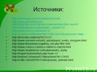 Источники: http://rybakyuga.narod.ru/oribe/som.htmhttp://www.ukuzmicha.ru/index.