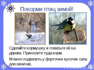 Покорми птиц зимой!Сделайте кормушку и повесьте её на дереве. Приносите туда кор
