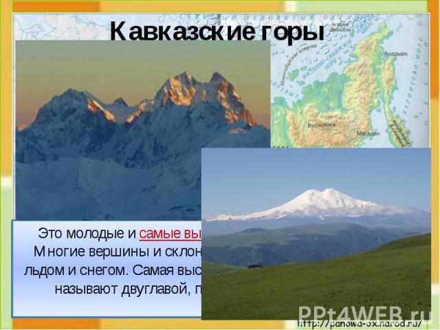 Кавказские горы Это молодые и самые высокие горы России (до 5000 м). Многие вершины и склоны этих гор постоянно покрыты льдом и снегом. Самая высокая гора – Эльбрус (5642 м). Её называют двуглавой, потому что у неё 2 вершины.