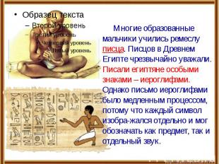 Многие образованные мальчики учились ремеслу писца. Писцов в Древнем Египте чрез