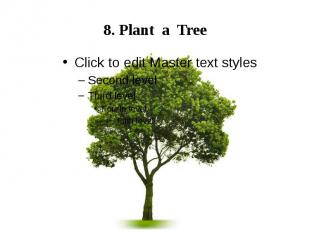 8. Plant a Tree