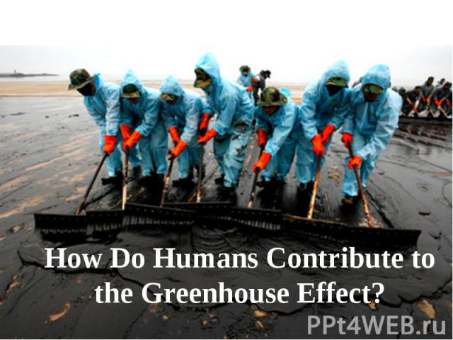 How Do Humans Contribute to the Greenhouse Effect?