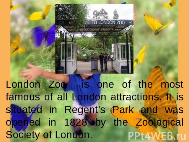 London Zoo is one of the most famous of all London attractions. It is situated in Regent’s Park and was opened in 1828 by the Zoological Society of London.