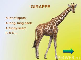 GIRAFFE A lot of spots. A long, long neck A funny scarf. It ‘s a …