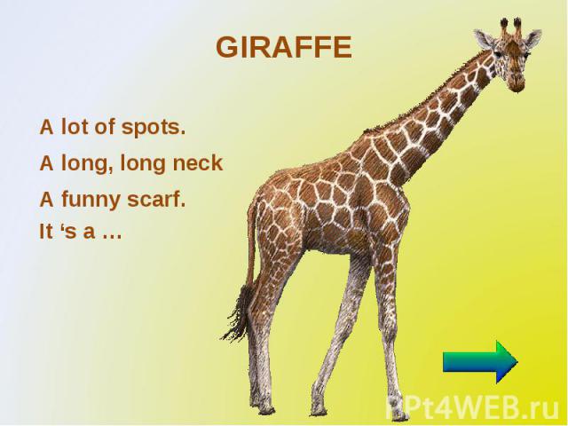 GIRAFFE A lot of spots. A long, long neck A funny scarf. It ‘s a …