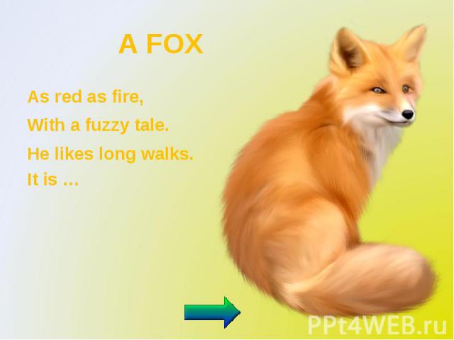 A FOX As red as fire, With a fuzzy tale. He likes long walks. It is …