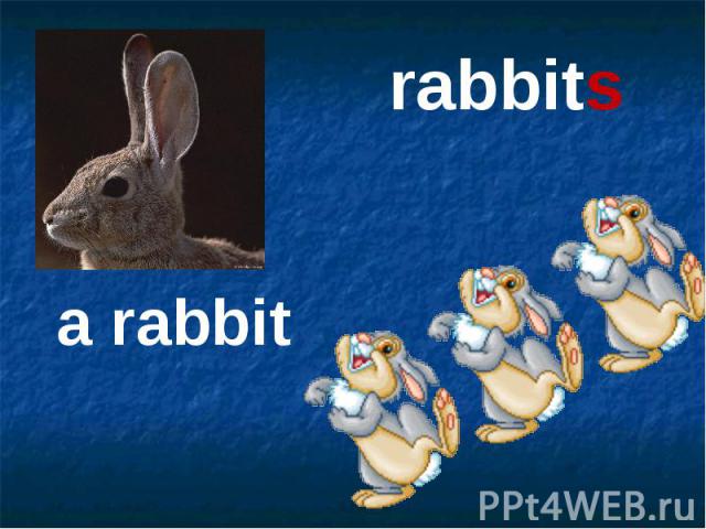 rabbits a rabbit