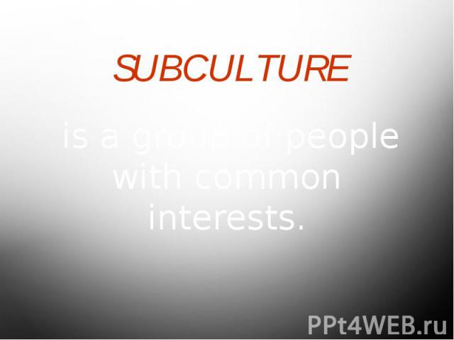 SUBCULTURE is a group of people with common interests.