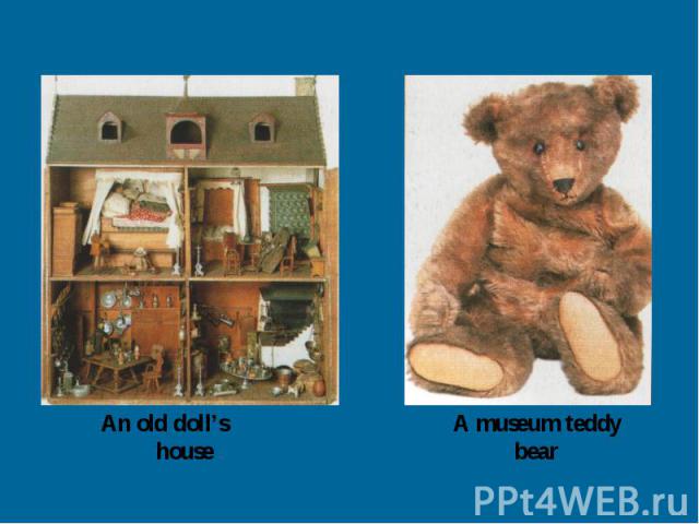 An old doll’s house A museum teddy bear