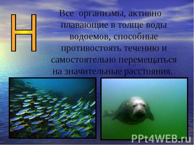 Все организмы, активно плавающие в толще воды водоемов, способные противостоять течению и самостоятельно перемещаться на значительные расстояния.