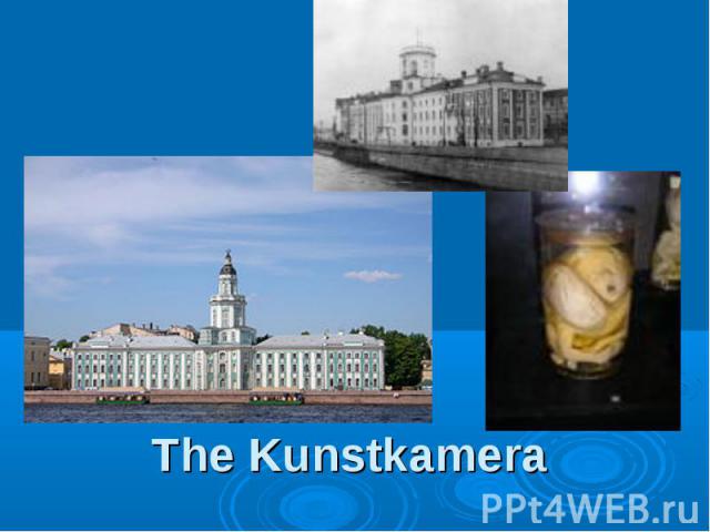 The Kunstkamera