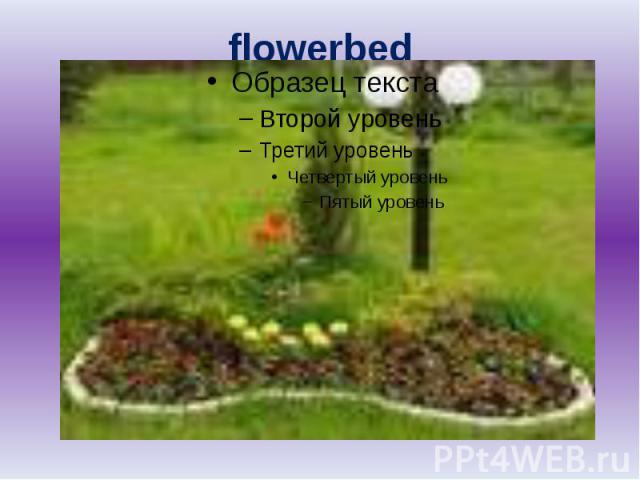 flowerbed