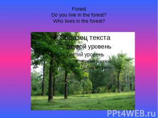 ForestDo you live in the forest?Who lives in the forest?