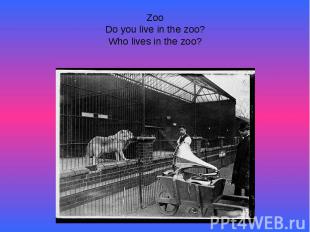 ZooDo you live in the zoo?Who lives in the zoo?