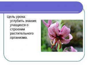 Цель урока: углубить знания учащихся о строении растительного организма.