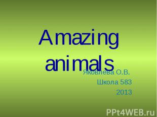 Amazing animals Яковлева О.В. Школа 5832013