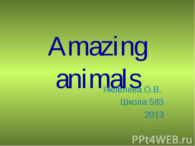 Amazing animals Яковлева О.В. Школа 5832013