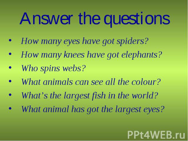 Answer the questions How many eyes have got spiders?How many knees have got elephants?Who spins webs?What animals can see all the colour?What’s the largest fish in the world?What animal has got the largest eyes?