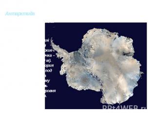 Антарктида Занимает особое положение среди южных материков. Она расположена на ю