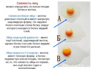 Свежесть яиц можно определить по консистенции белка и желтка.Свежеснесённое яйцо