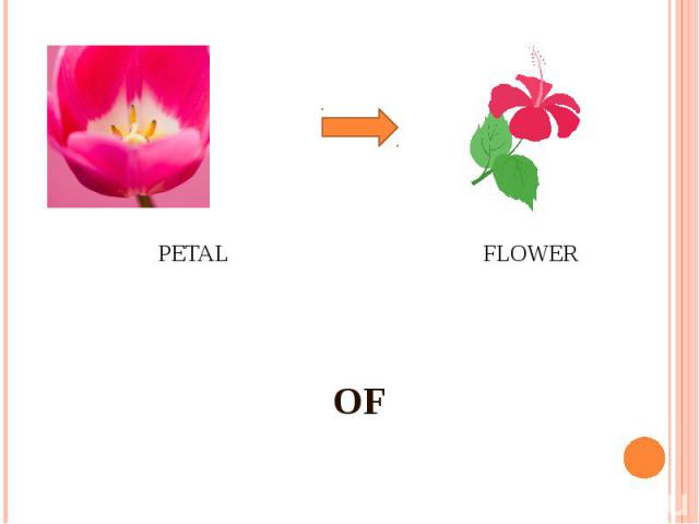 PETAL FLOWER OF