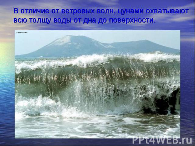 В отличие от ветровых волн, цунами охватывают всю толщу воды от дна до поверхности.