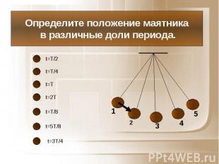 Определите положение маятника в различные доли периода.